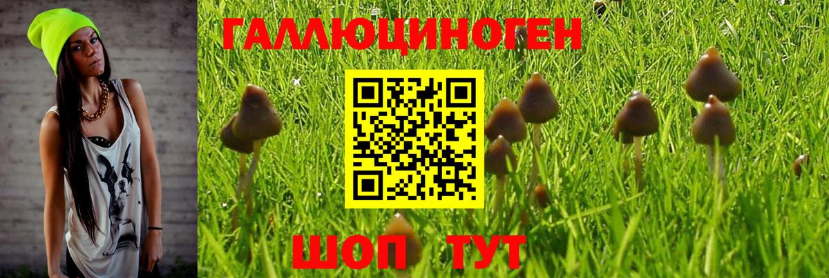 Малоярославец  Галлюциногенные грибы прущие грибы  Вход с VPN 